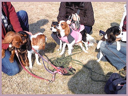 偶然の再会