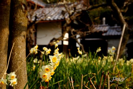 春まだ浅き北鎌倉・・