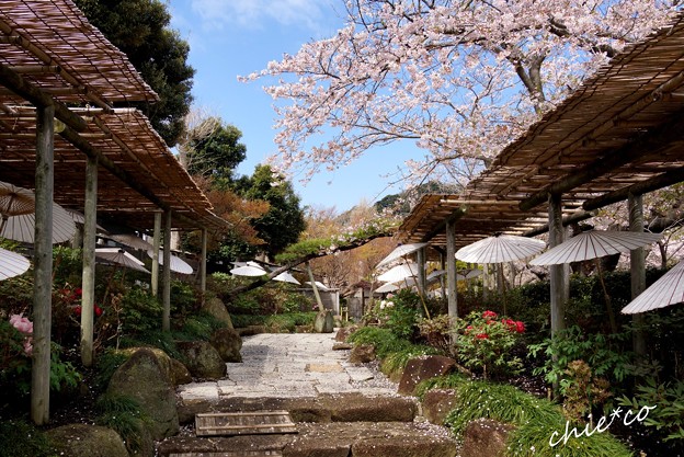 鎌倉-021