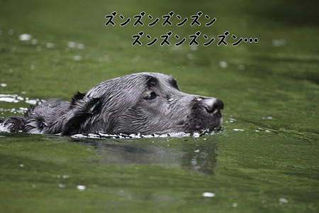 ズンズン3