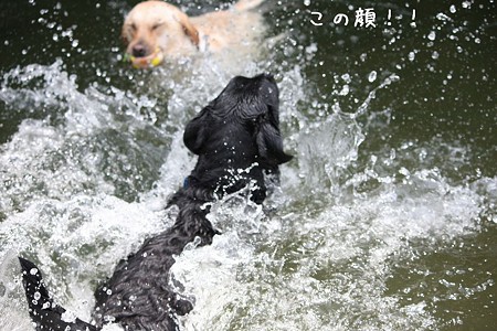 飛び込む2