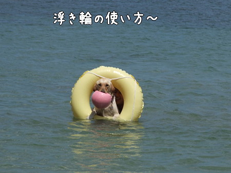 浮き輪の使い方