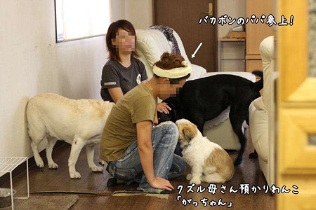 バカボンのパパか?!