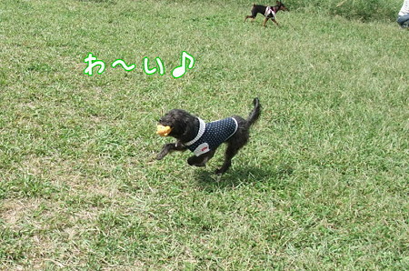 わーい