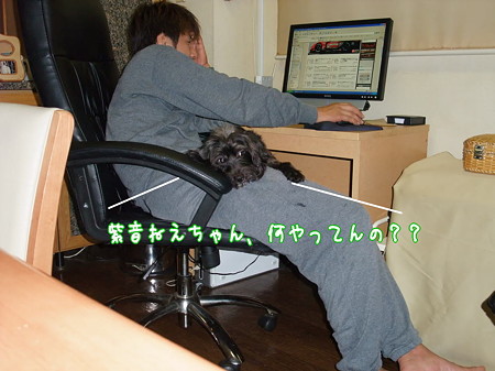 紫音姉ちゃん何?