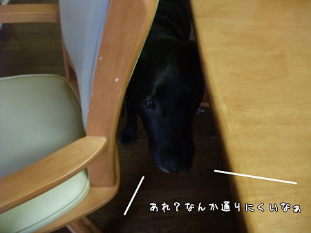 通りにくい