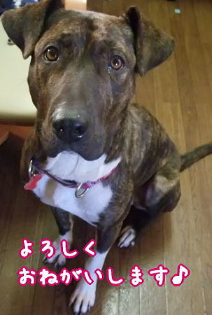 よろしくね