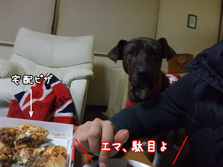 駄目よ
