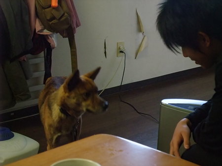 少し近寄る?