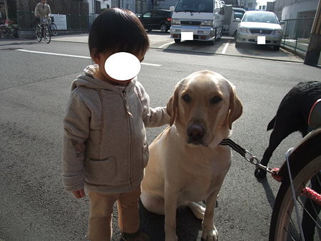 やさしい目