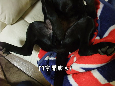M字開脚