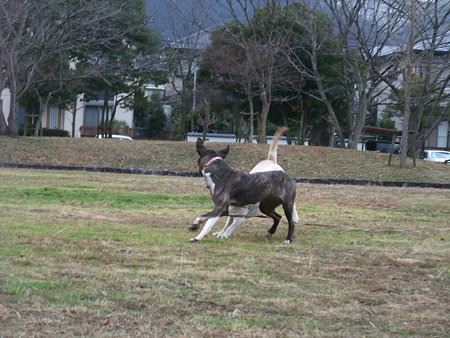 狙う!