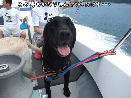 この時も