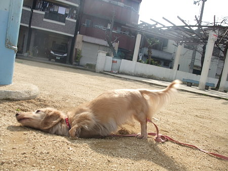 さらにスリスリ・・・