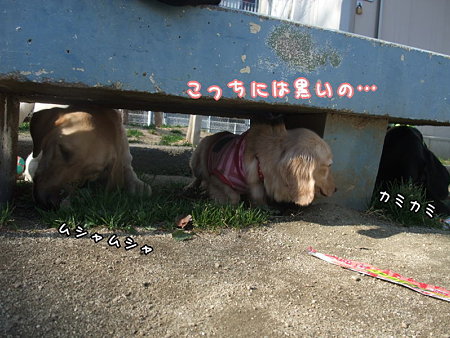どっちにも