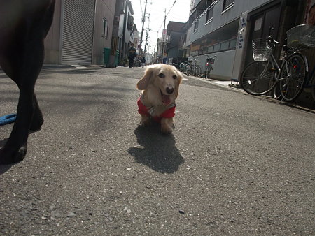 うん、良い顔になってきた♪