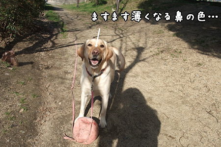 鼻