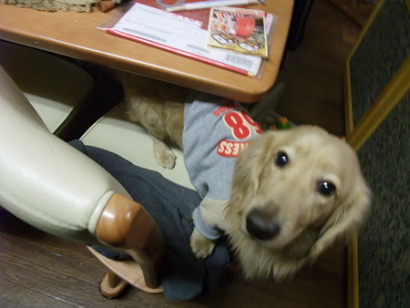椅子の上で待ってるYO