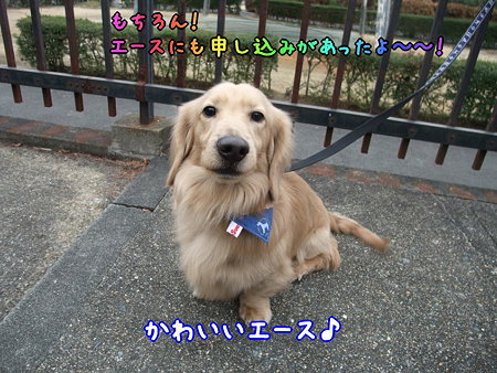 エース決定