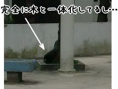 木と一体化