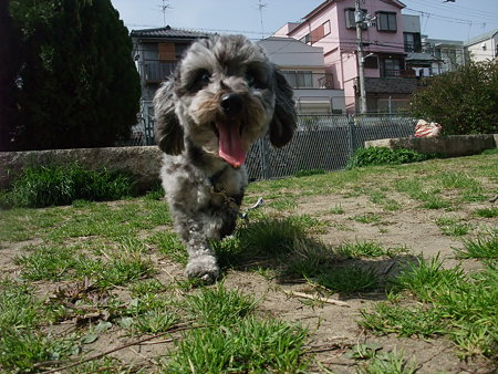 春馬
