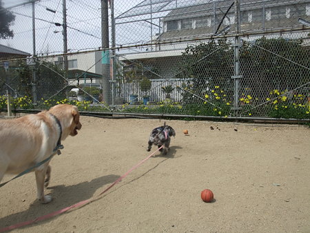 春馬は今日は