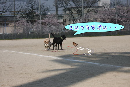すごい!