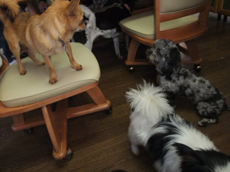 みんなにも「がんばれよ~」と見送られ