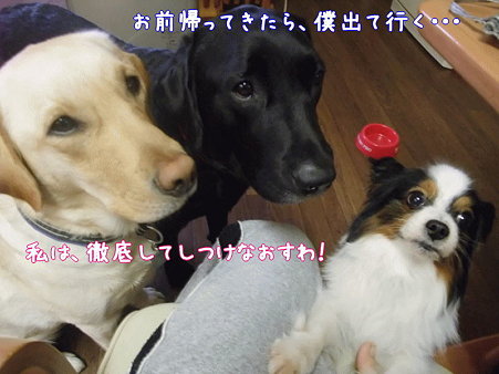 激励1