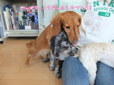 力づく!