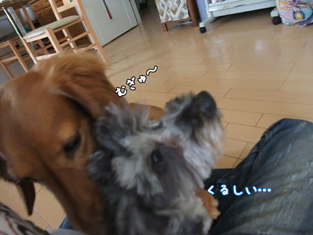くるしい…
