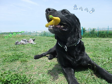 むっちゃ笑顔