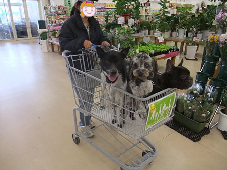 いざ、お買物!