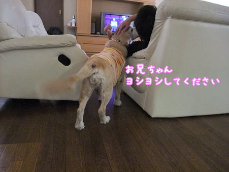 長男に甘えてた