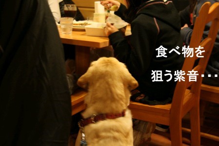 獲物