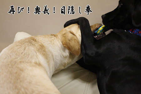 再び