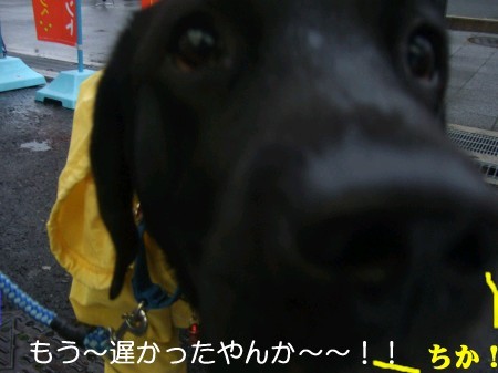 寂しかったのか?!