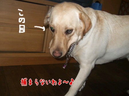 逃げる
