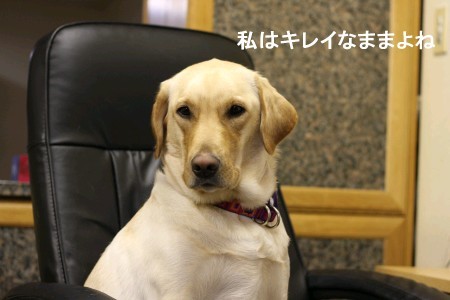 私はキレイ
