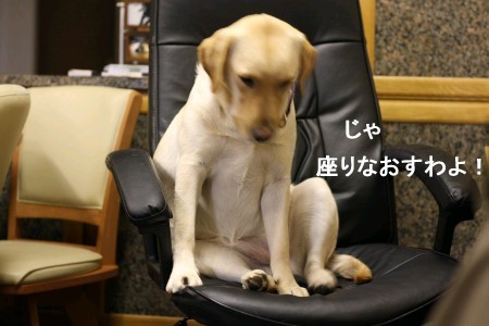 座りなおし