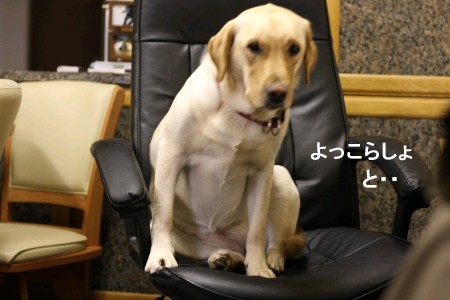 よっこらしょ