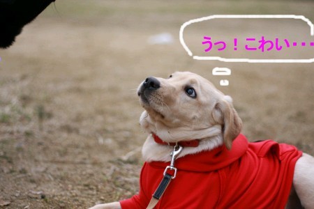 恐がる様子もかわいい~♪