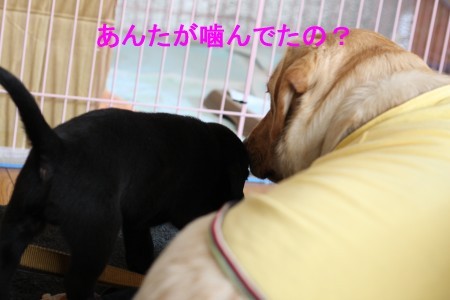 あいさつ
