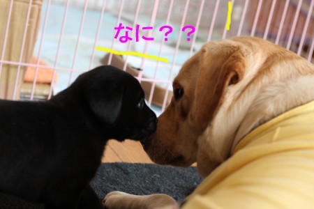 なに??
