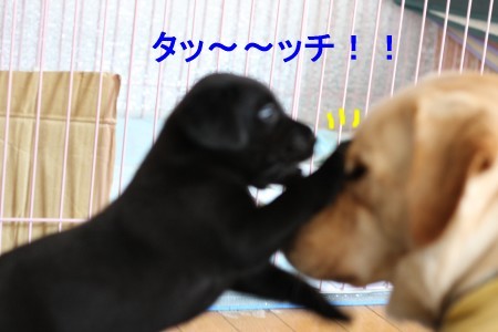 顔タッチ