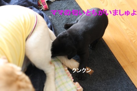 匂いチェック