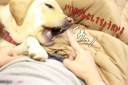 怒った