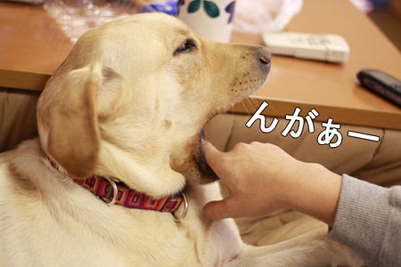 んがぁー