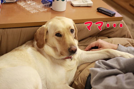 ママ・・・