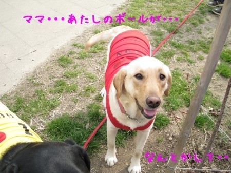 訴える